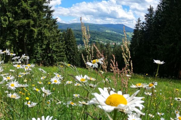 Letní sezonu odstartujeme prodlouženým víkendem v pátek 1. května